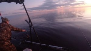 Северодвинск# рыбалка на Белом море! Камбала OFLINE!
