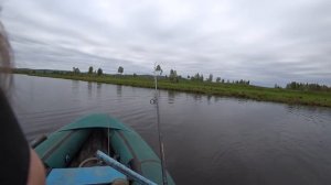 Дожди рыбалке не помеха, ловим щуку в ненастную погоду.