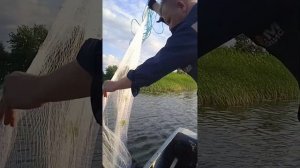 Ловить на кастинговую сеть- просто!