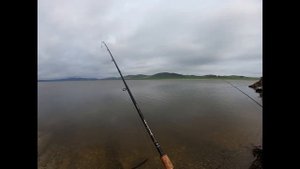К В Х САЗАН на 4кг 09 07 2020г