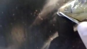 покраска входной двери баллончиком краски