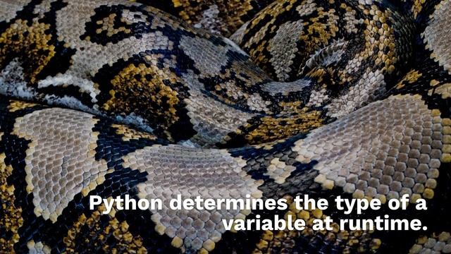 Features of Python || 2 minutes python || Become hero from zero