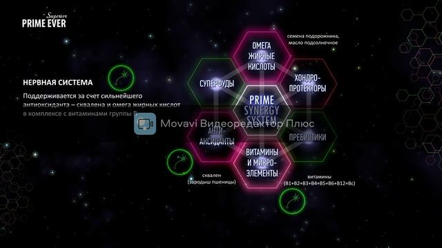 Prime Ever Superior - сухие и влажные корма для собак