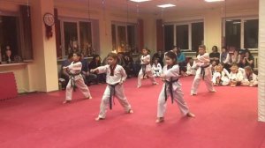 WTF Тхеквандо. Экзамен на синий пояс