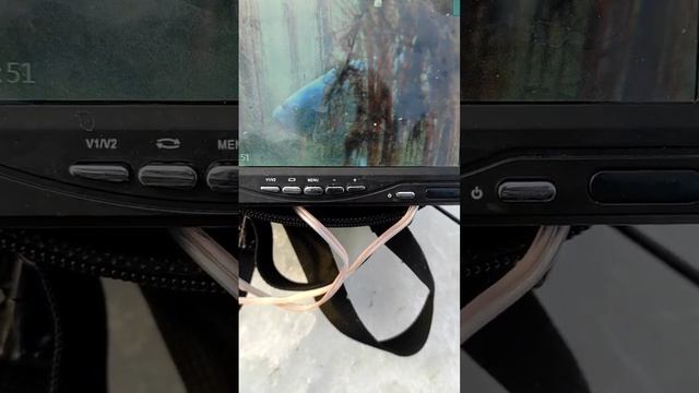 #shorts ПОДВОДНАЯ КАМЕРА #FocusFish {ФОКУС ФИШ} #focusfish#фокусфисш#камерадлярыбалки