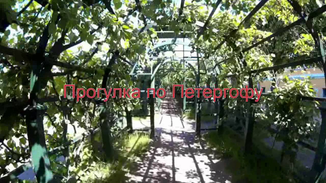 Прогулка по Петергофу Петродворец Фонтаны