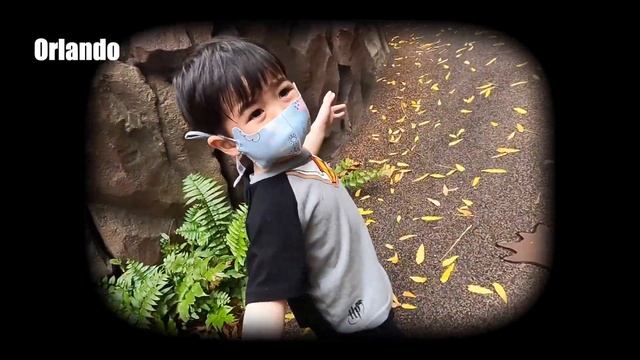 Going with KIDS?? things you NEED to know before visiting Universal Studios Hollywood смотреть онлайн