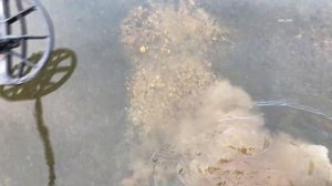 Minelab Manticore - Поиск по воде