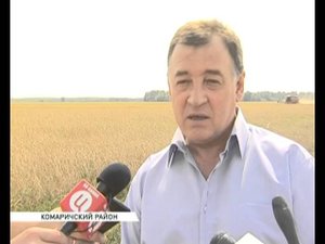 Школы не будут закрыты  Ситуация в Комаричах  15 08 13