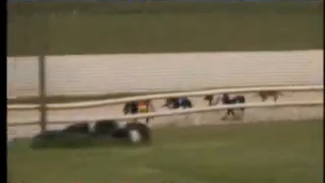 IGB - Gain Greyhound Nutrition Unraced Round 1 Heat 1 12/04/2019 Race 1 - Newbridge смотреть онлайн