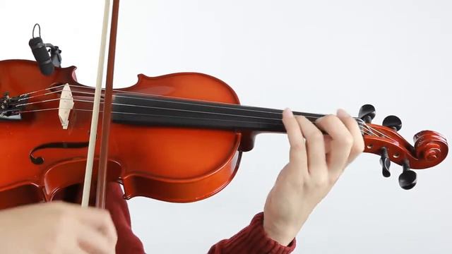 Suzuki Violin FS 10 Demo