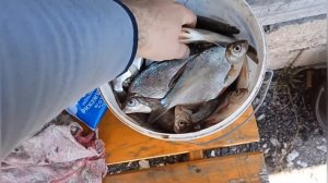 Делаем каток для газона своими руками. Что из этого выйдет,смотрите!!