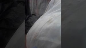 сортировочная машина для картофеля самодел