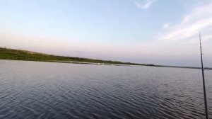 Не смог вытащить карпа из коряг. Рыбалка с боковым кивком в густых корягах.