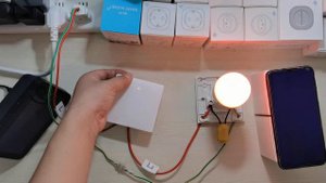 Tuya Wifi Smart Wall Switch No Neutral works with Voice Command Alexa or Google Home