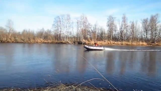 Риф Тритон 390Ф и Хайди 9.9 смотреть онлайн