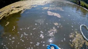 Подводный поиск с металлоискателем на пляже! КоП 2023