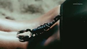 FIAT 500 Abarth Cabrio "Topless" Fiat Ad 2013