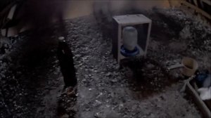 Будни голубевода. Поступило заманчивое предложение, даже не знаю что и делать. Голуби Запорожья.