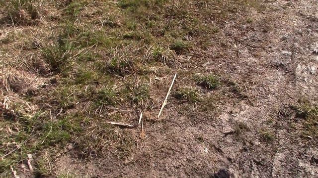 Похудение Димона. День 43-45. 30000 шагов за день! Dimon's slimming. Day 43-45. 30,000 steps per da смотреть онлайн