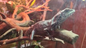 VID_20230528_164356.mp4