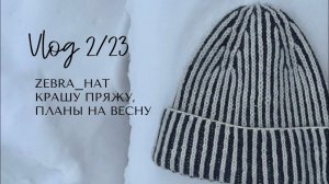 Влог 2/23: крашу пряжу, шапка zebra_hat, процессы и планы на весну.