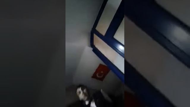 Esenler Otogarı İstanbul смотреть онлайн