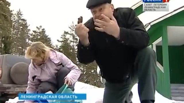 Шишкосушилки.