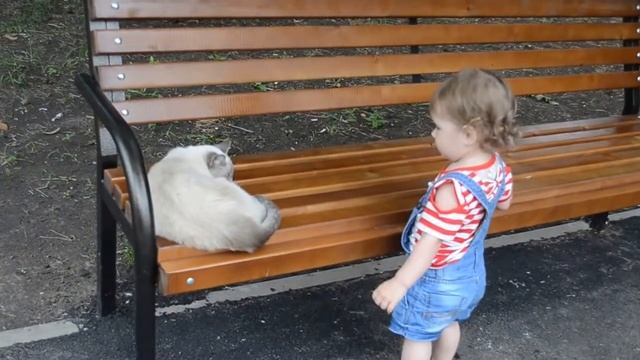 Детский спорт смотреть онлайн