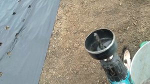 Выращивание салата. Как на этом заработать!?