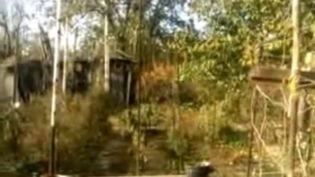 УКВ на даче