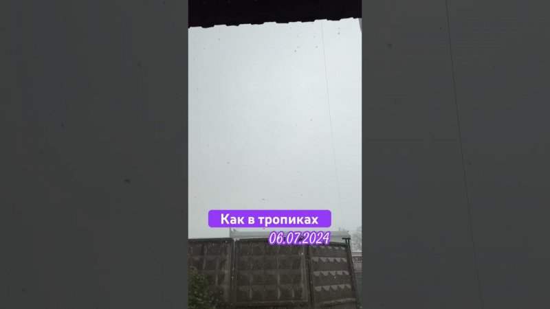 Гроза #москва #shortvideo #гроза #летовмоскве #лето2024 #тропический