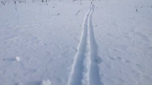 Отстрел томпака из Вепрь-308/Вепрь-308+коллиматор+томпак