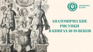 Видеопрезентация Анатомические рисунки в книгах 16-18 веков