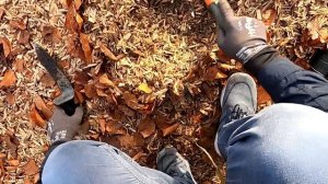 Сколько Денег Можно найти На Игровой Площадке в Германии с Металлоискателем