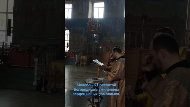 Молебен.К Пресвятой Богородице с умилением сердец наших помолимся. #Богоявленский #собор Ногинск