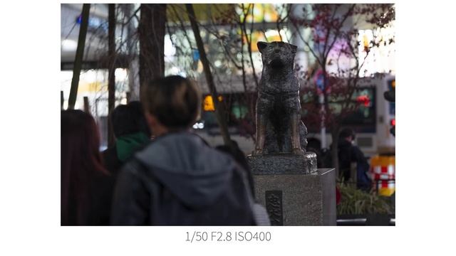 【実機レビュー】ソニーが世に放つ"世界初"の1台！『SONY α9III』の感動をお伝えします【Mt. Fuji/Shibuya】 смотреть онлайн