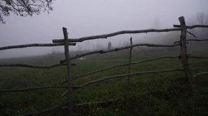 Десерт с сухофруктами Азербайджанская Кухня Деревенская Кухня  Рецепты