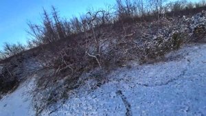 ОХОТА НА КУРОПАТКУ / ОХОТА В ТУНДРЕ