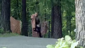 Власик Тень Сталина