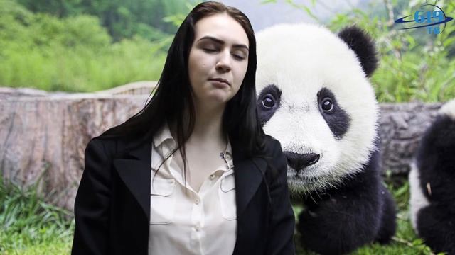 Школа №619 Телевыпуск 18 03 2016 "Ларккула+Профессии будущего+Лайфхак" смотреть онлайн