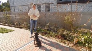 Учим команды жестами - День 2 (Жест + Дублируем голосом)