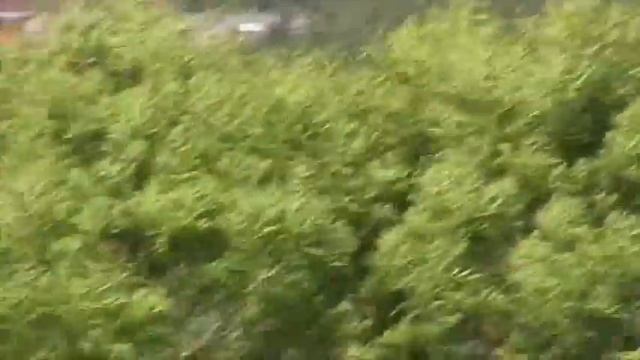 Video And Zoom Test In New Addington With My Panasonic SDR-H81 Camcorder 06/07/2017 смотреть онлайн