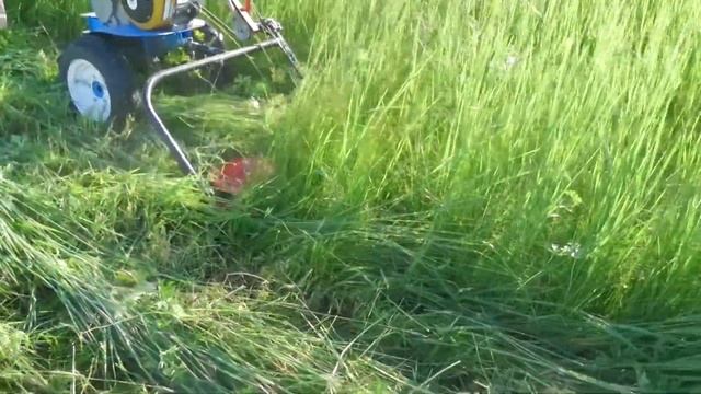 Тест косили Заря с мотоблоком Нева.