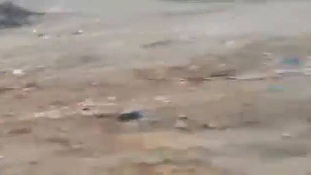 Медведи на помойке( присутствует ненормативная лексика) смотреть онлайн