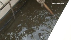 В водоеме Ревды появились новые обитатели