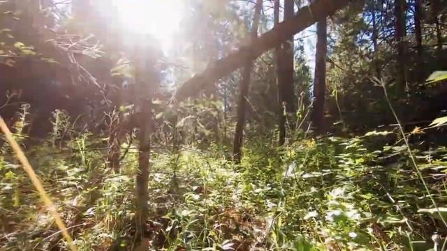 Ольга замерла на пороге спальни, увидев, как свекровь примеряет её свадебное платье смотреть онлайн