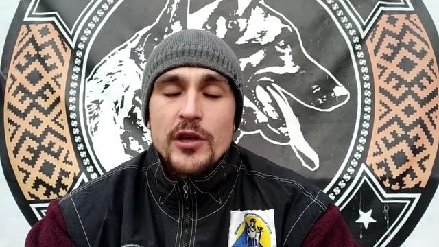 Cобака не слушается на улице