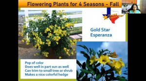 Flowering Plants for 4 Seasons (04.21.2023)