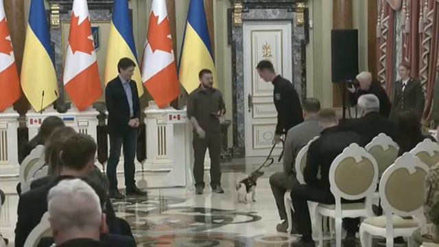 Пес Патрон отримав нагороду
